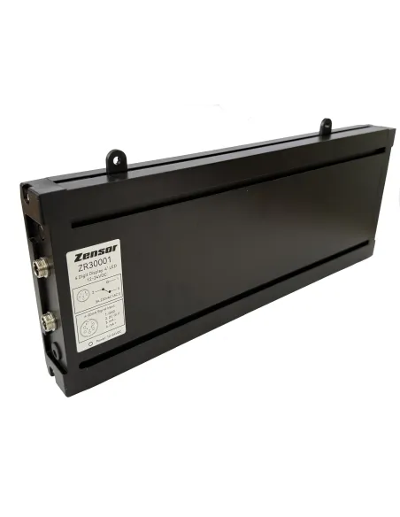 ZR30001 4 Digit Large LED Process Display