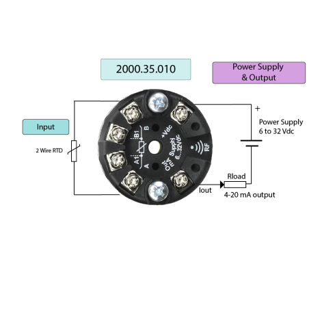Pixsys 2000.35.010 RTD In-head Signal Converter