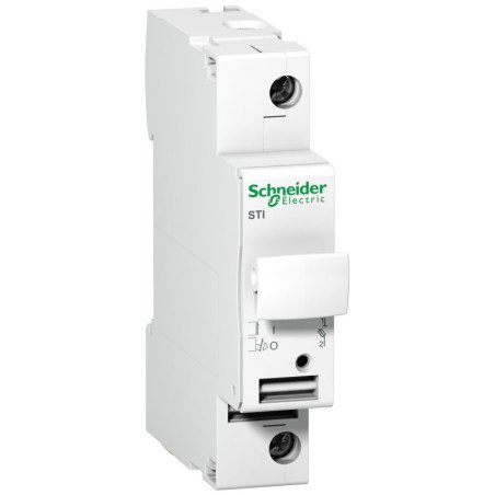 Schneider A9N15636 Fuse-Disconnector