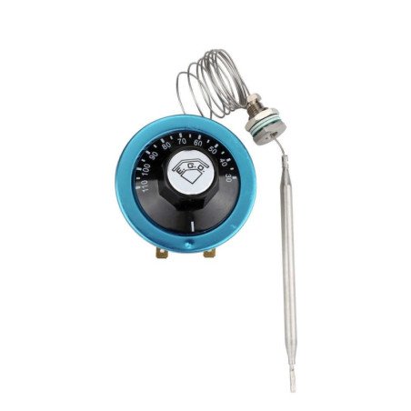 EGO 55.13022.010 Capillary Thermostat 30°C–110°C