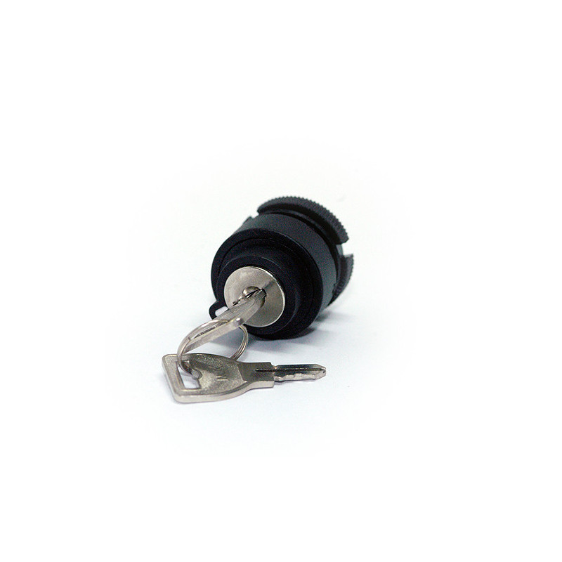 Hanyoung ARK Ø22 Key Selector Switch